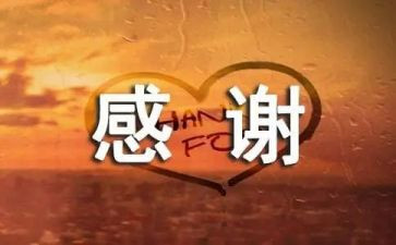 老师感谢您作文精选8篇