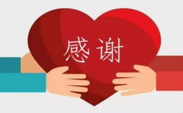 老师感谢您作文8篇