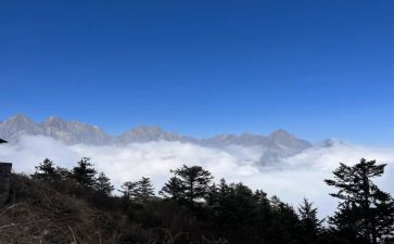 自由在高处读后感8篇