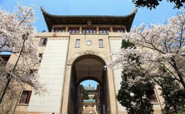 2023年高校教师个人年度总结5篇