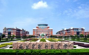 17高校教师工作总结模板7篇
