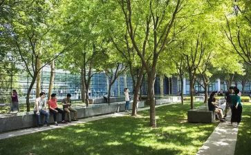 公共秩序倡议书7篇