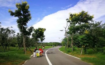 公园游作文600字6篇