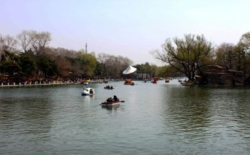 《游公园》的作文7篇