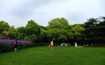 《游公园》的作文参考6篇