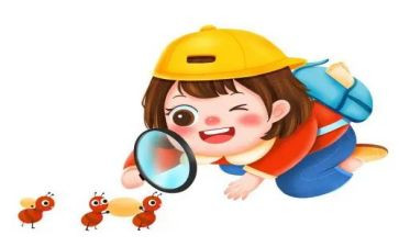 观察虾的优秀作文优质7篇