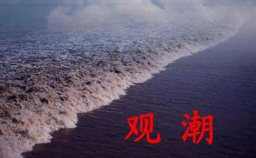 观潮的教学教案精选5篇