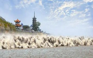 观潮教学心得体会最新5篇
