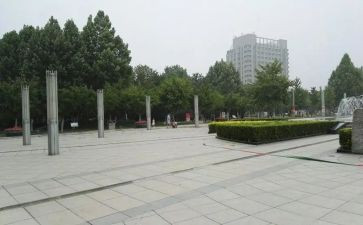 广场的蟋蟀读后感7篇