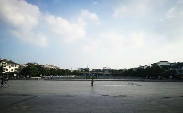 广场的蟋蟀读后感最新6篇