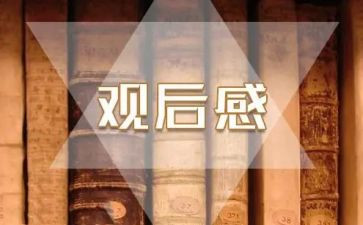 2022冬奥会总结表彰大会观后感7篇