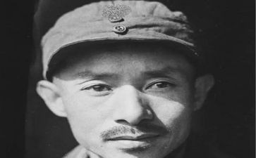 关向应活动方案最新8篇