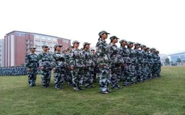 观训心得体会200字参考8篇