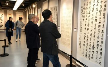 观展后总结报告范文通用5篇