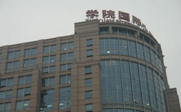 举办国际活动总结6篇