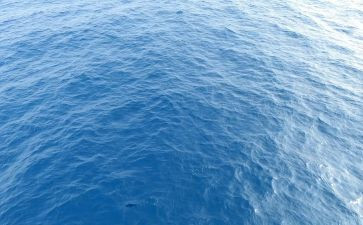 海的读后感六百字模板7篇
