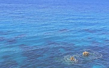 游海南心得体会6篇