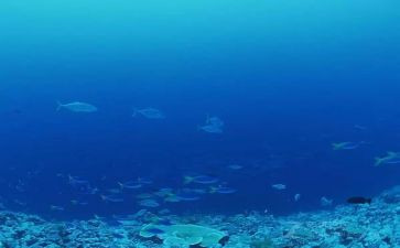 海底捞读后感推荐5篇