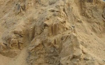 海砂购销合同优秀8篇