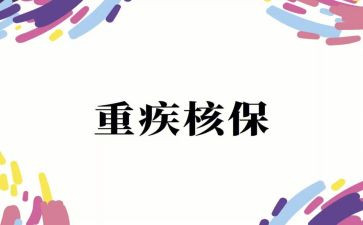 核保岗工作总结6篇