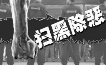 幼儿园除黑恶活动总结精选7篇