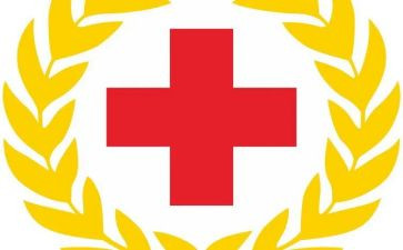 红十字日活动方案7篇