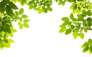 环保工作的个人总结优质5篇