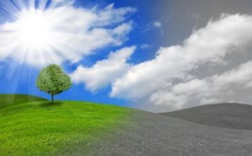 共环保活动方案最新5篇