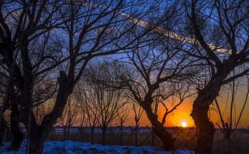 黄昏的雪作文优质6篇