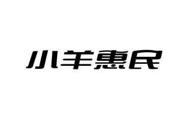 惠民工作总结7篇