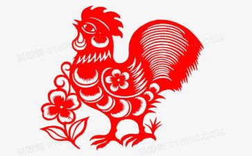 鸡促销活动方案推荐7篇