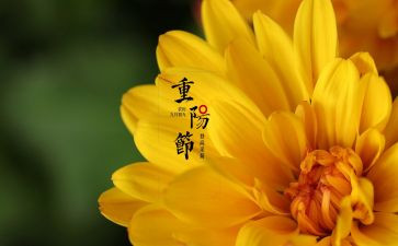 中秋佳节心得体会5篇