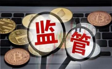 批后监管工作总结模板8篇
