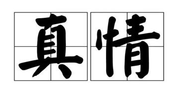 察真情心得体会5篇