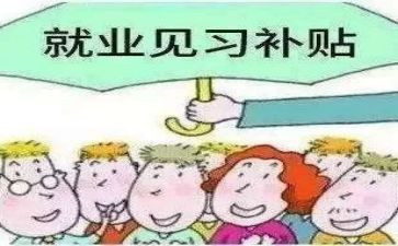 教师个人见习期个人总结6篇
