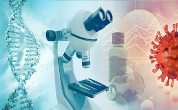 检验师个人总结最新7篇