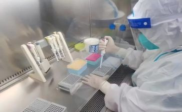 检验岗的个人总结6篇