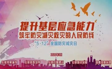 社区减灾防灾活动总结5篇