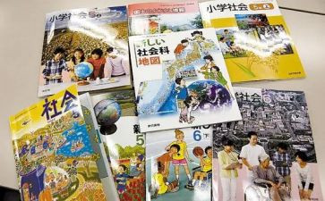 学校教科处工作总结模板8篇