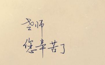 体育教师个人年终总结8篇
