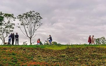 郊游幼儿教案最新7篇