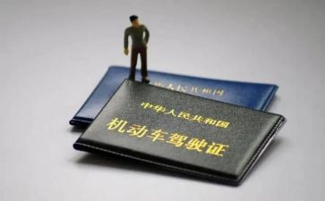 驾照心得体会8篇