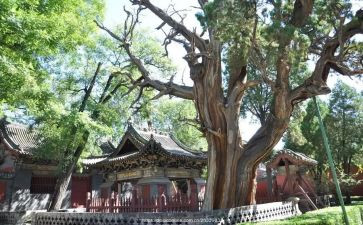 晋祠地方调查报告6篇