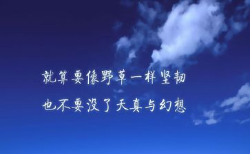 精神科护士2024年工作总结7篇