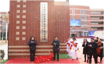 2024年技术部工作计划优秀5篇