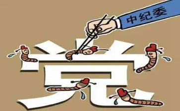 2023纪委总结报告7篇