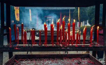 祭祖倡议书6篇
