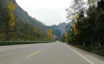努力靠自己作文参考8篇