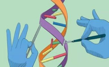 小学科学教师实验工作总结8篇