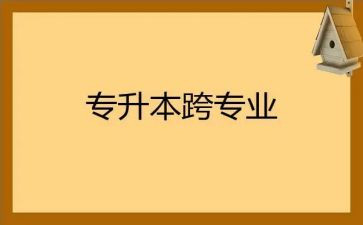 跨专业工作的心得体会6篇